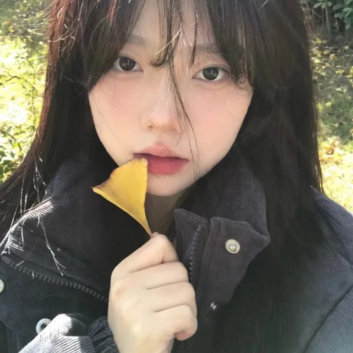 山河披锦绣